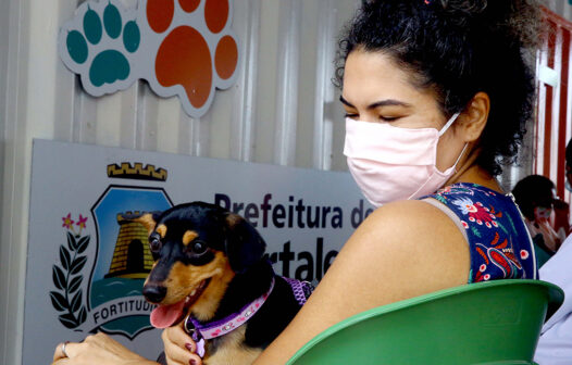 Fortaleza: VetMóvel leva serviços veterinários aos bairros Benfica e Henrique Jorge