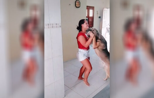 Vídeo: cachorro de Beberibe, no Ceará, faz sucesso dançando forró nas redes sociais