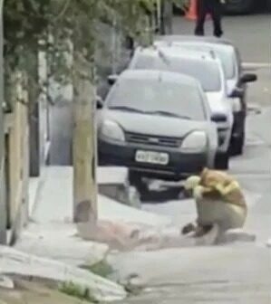 Vídeo: homem ferido por 1.500 ferroadas de abelhas é resgatado no RJ