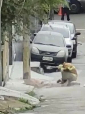 Vídeo: homem ferido por 1.500 ferroadas de abelhas é resgatado no RJ