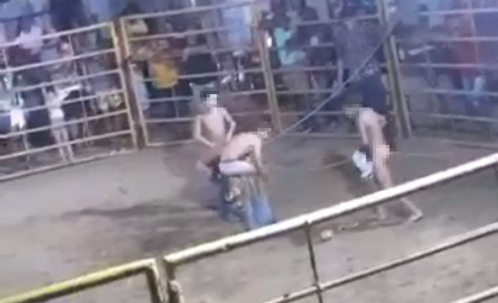 Vídeo: imagens de crianças nuas e de maus-tratos a animais em rodeio são analisadas pela Polícia do Ceará