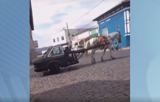 Vídeo mostra cavalo puxando metade de um carro como se fosse carroça em Minas Gerais