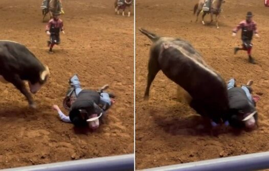 Vídeo: pai entra em arena para proteger filho desmaiado de touro