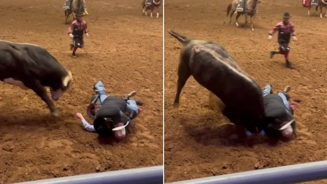 Vídeo: pai entra em arena para proteger filho desmaiado de touro