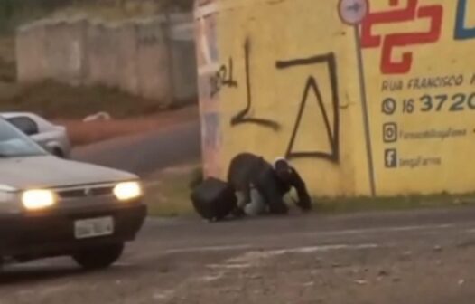 Vídeo: porco ataca e morde entregador em São Paulo; amigos fazem vaquinha para ajudar motoqueiro