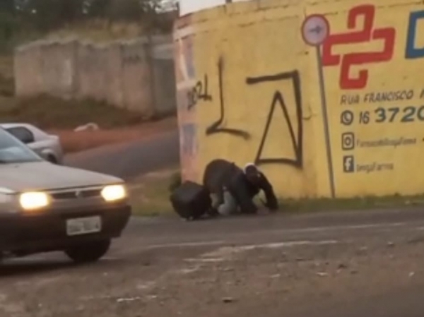 Vídeo: porco ataca e morde entregador em São Paulo; amigos fazem vaquinha para ajudar motoqueiro