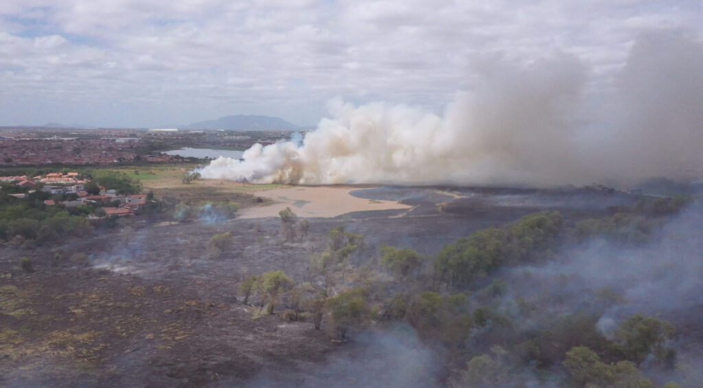 Vídeo: veja imagens aéreas do incêndio no Parque do Cocó