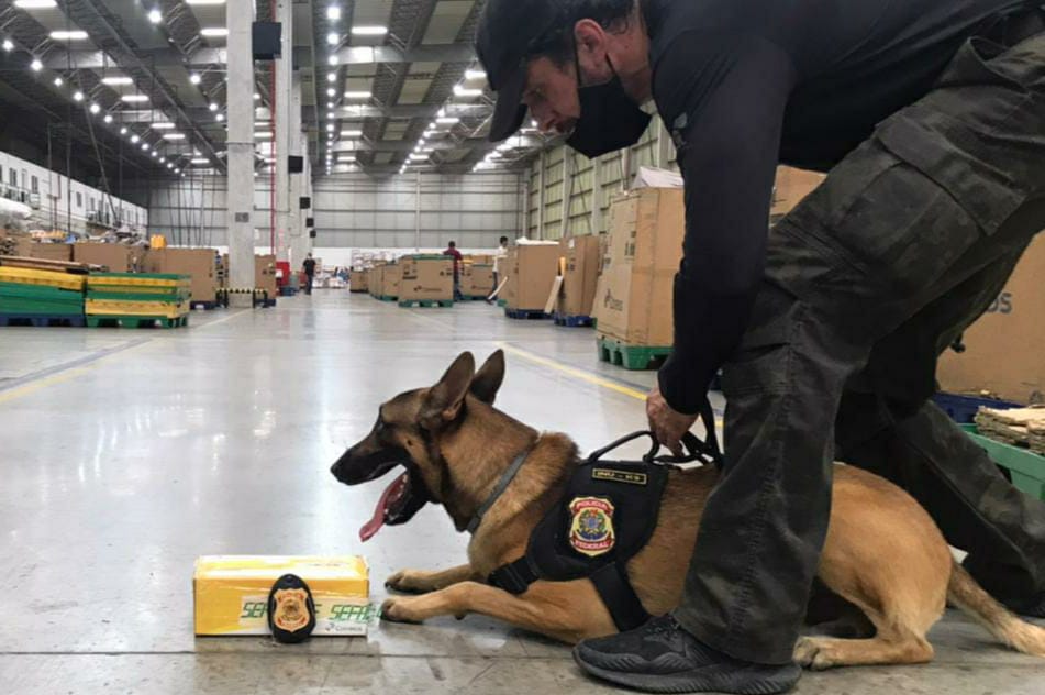 Com ajuda de cão farejador, Polícia Federal apreende droga escondida em caixa de chocolate em Fortaleza