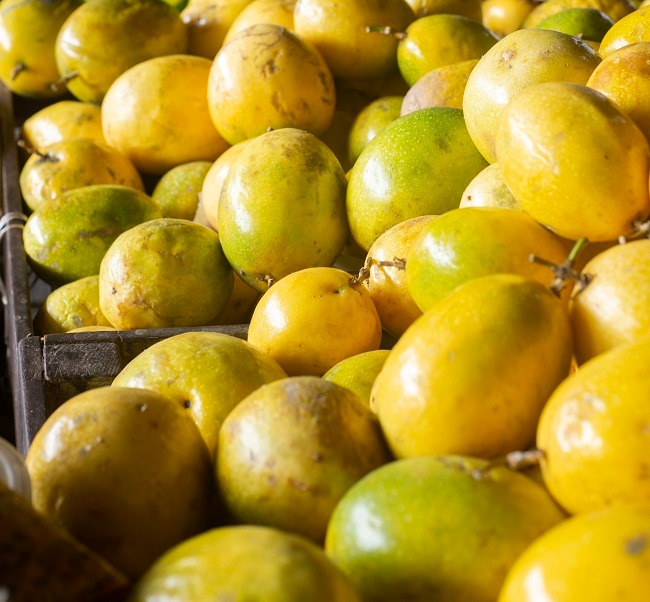 Hora do suco de maracujá: preço da fruta tem queda de 28,6% na Ceasa Cariri