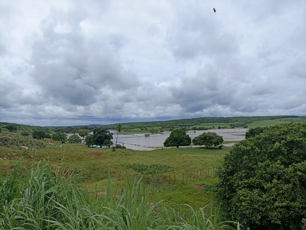 Barragem e açudes rompem, alagam casas e deixam famílias ilhadas em Várzea Alegre