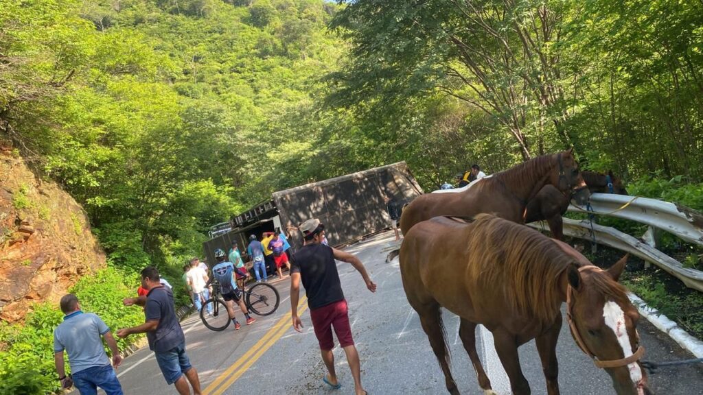 Caminhão que transportava cavalos tomba na BR-222, no Ceará