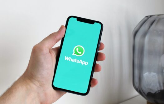 WhatsApp vai permitir enquetes em grupos, diz site