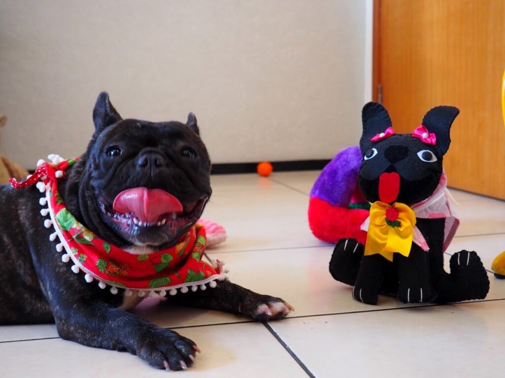 Ter ou não ter um cachorro?