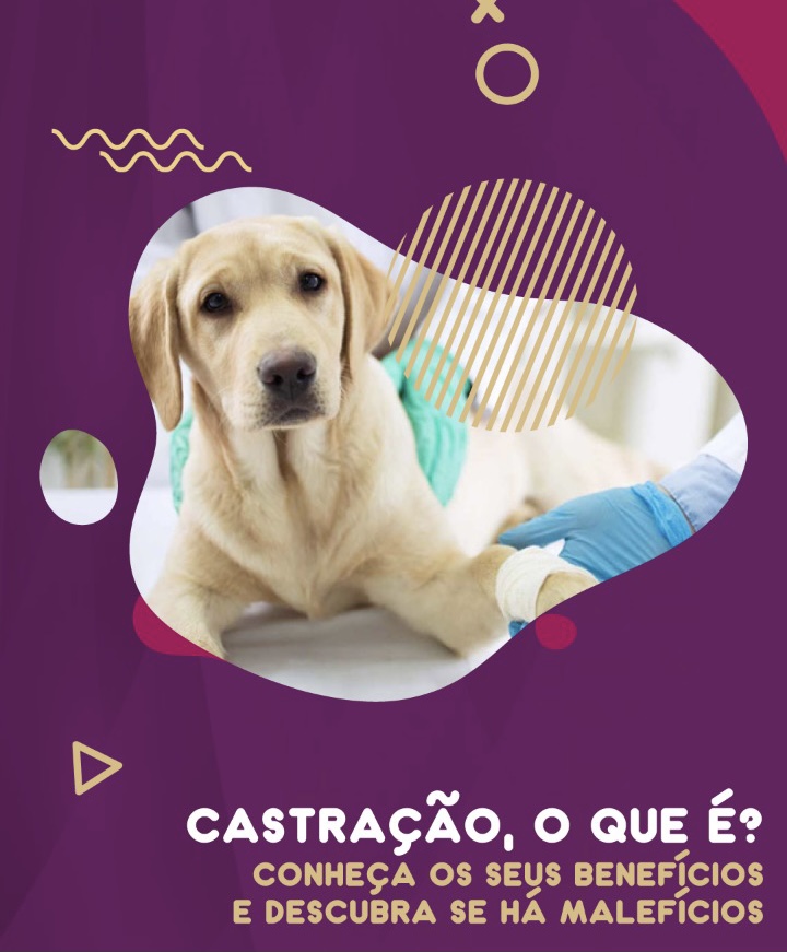 É importante castrar meu Pet?!