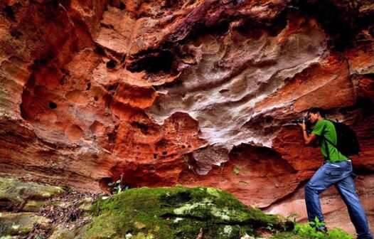 Abaixo assinado pede reconhecimento da Chapada do Araripe como Patrimônio da Humanidade