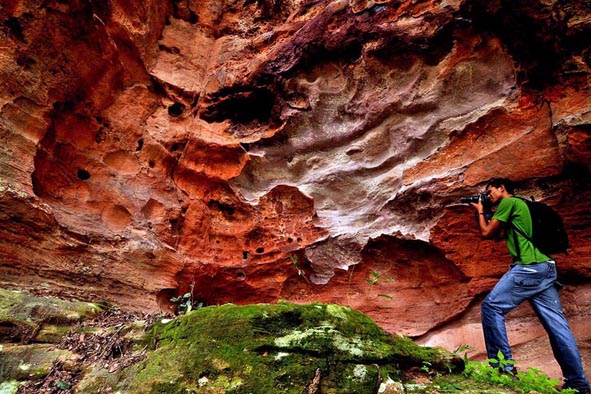 Abaixo assinado pede reconhecimento da Chapada do Araripe como Patrimônio da Humanidade