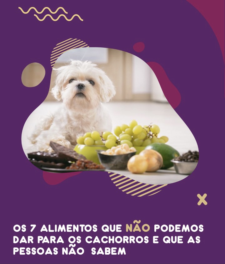 7 alimentos que não podemos dar para os cachorros e que as pessoas não sabem