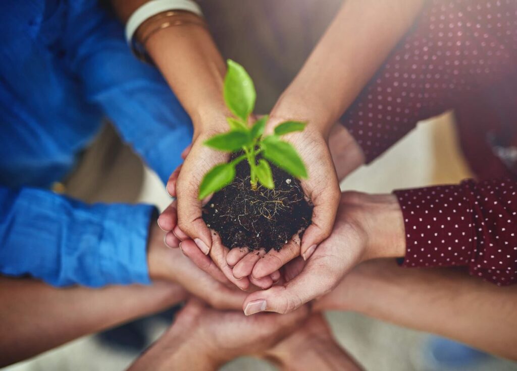 A importância do marketing sustentável e o poder da criatividade