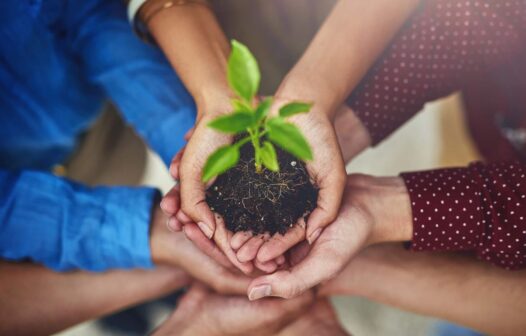 A importância do marketing sustentável e o poder da criatividade