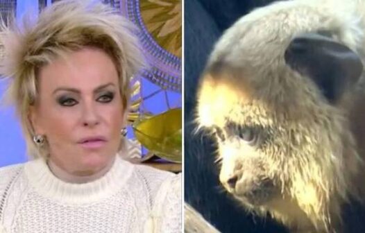 Ana Maria Braga anuncia demissão de funcionário responsável por exibir imagens de macaco em VT