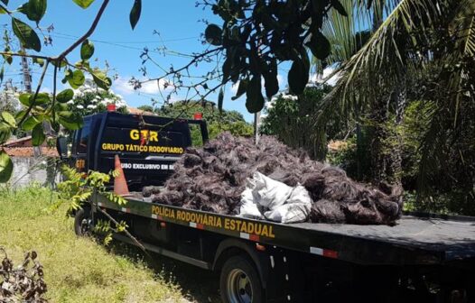 Cerca de três toneladas de fios de cobre são apreendidos na Sabiaguaba, em Fortaleza