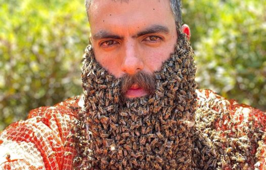 Com barba coberta por abelhas, homem chama atenção na Internet