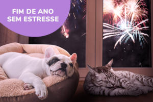 fim-de-ano-sem-estresse