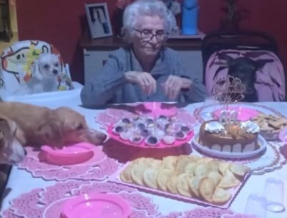 Idosa comemora aniversário de 89 anos com seus cãezinhos