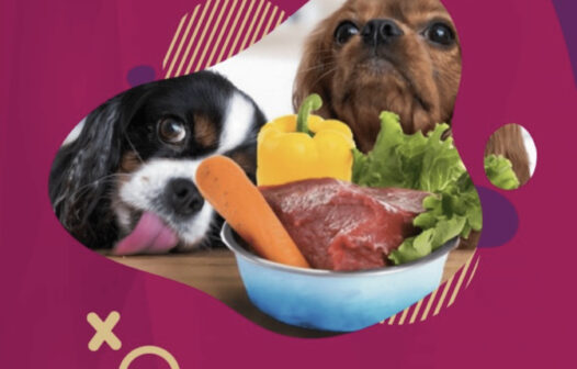 Sobre congelamento da AN com carnes para pets