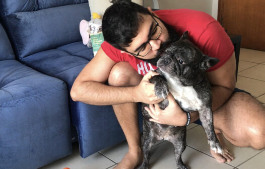 Nova Quarentena: 6 dicas para entreter seu cachorro nessa nova fase