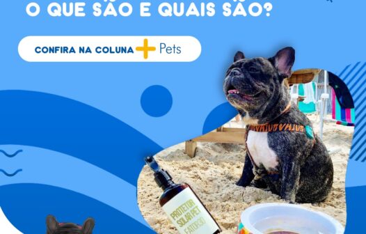 Onde tem lugares Pet Friendly?