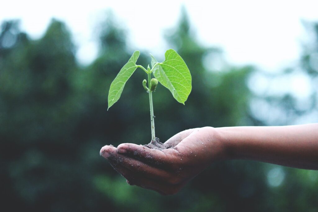 Webinar gratuito discute ações para a sustentabilidade