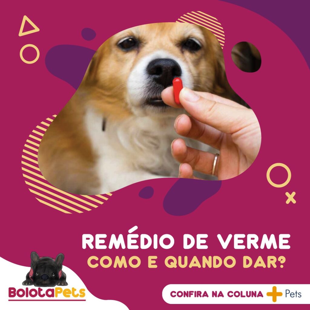 Remédio de verme para pets, e agora?!