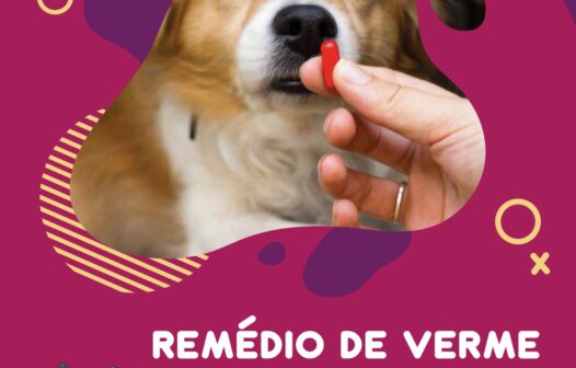 Remédio de verme para pets, e agora?!