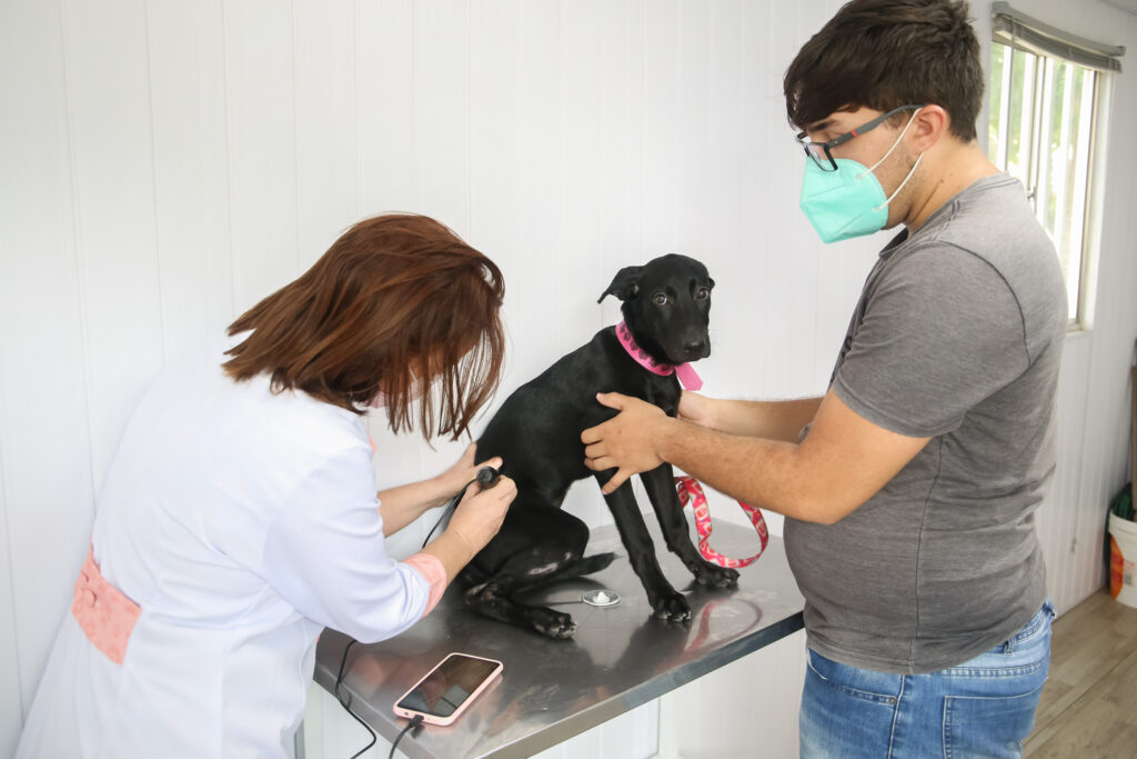 VetMóvel chega ao bairro João XXIII com serviços veterinários a partir de segunda-feira (8)