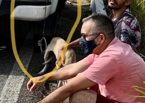 Cachorra é arrastada por carro amarrada pelo pescoço