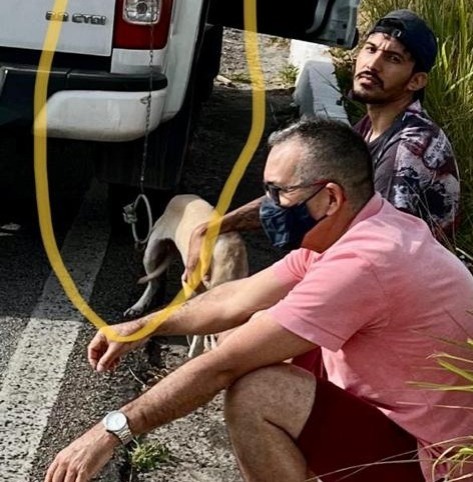 Cachorra é arrastada por carro amarrada pelo pescoço