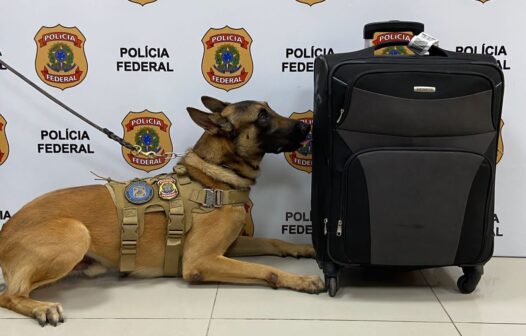 Droga transportada por passageiro é apreendida no aeroporto de Fortaleza