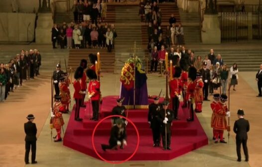 Guarda real desmaia durante velório de rainha Elizabeth II