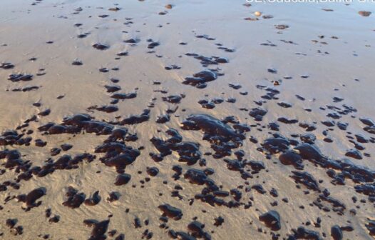 Manchas de óleo voltam a aparecer no litoral de Fortaleza