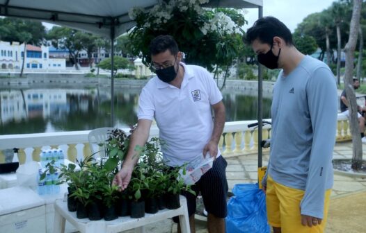 No Dia da Árvore, ação em Fortaleza distribui mudas de plantas