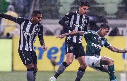 Assista ao jogo Botafogo x Palmeiras hoje (3) pelo Campeonato Brasileiro