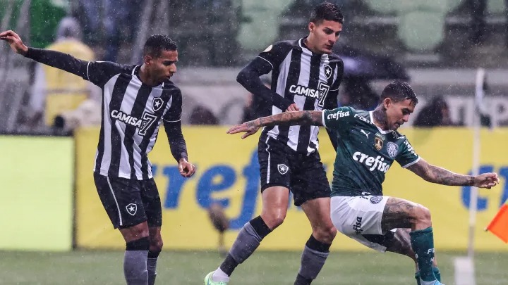 Assista ao jogo Botafogo x Palmeiras hoje (3) pelo Campeonato Brasileiro