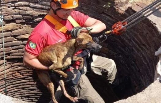 Em Canindé, cachorro cai em cacimba de 15 metros e é resgatado por bombeiros