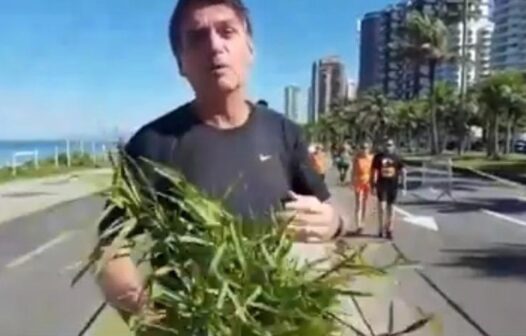 Em vídeo, Bolsonaro oferece capim a eleitores de Lula