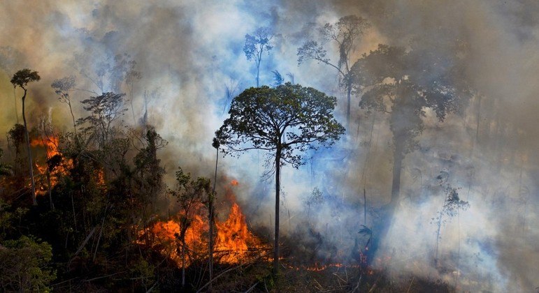 Noruega vai retomar repasses do Fundo Amazônia após vitória de Lula