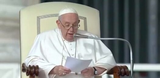 “Que Nossa Senhora Aparecida livre o brasileiro do ódio”, diz Papa Francisco em mensagem