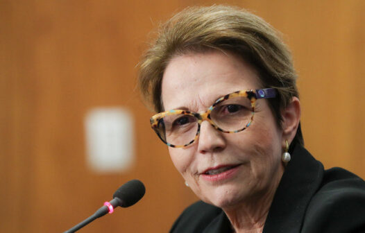 Tereza Cristina, do PP, é eleita senadora por Mato Grosso do Sul, com 61% dos votos
