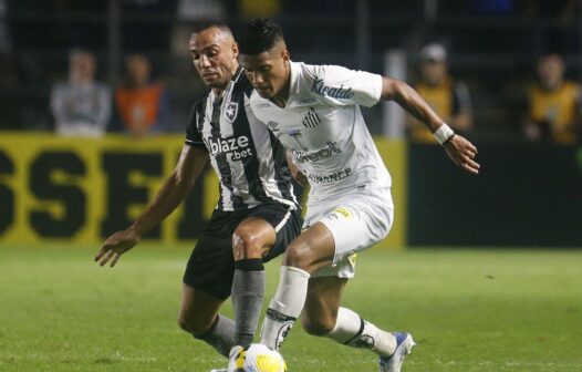 De olho em vaga na Libertadores, Botafogo recebe o Santos