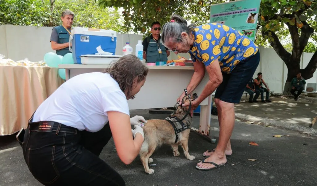 Campanha Antirrábica 2022 vacina mais de 280 mil animais em Fortaleza